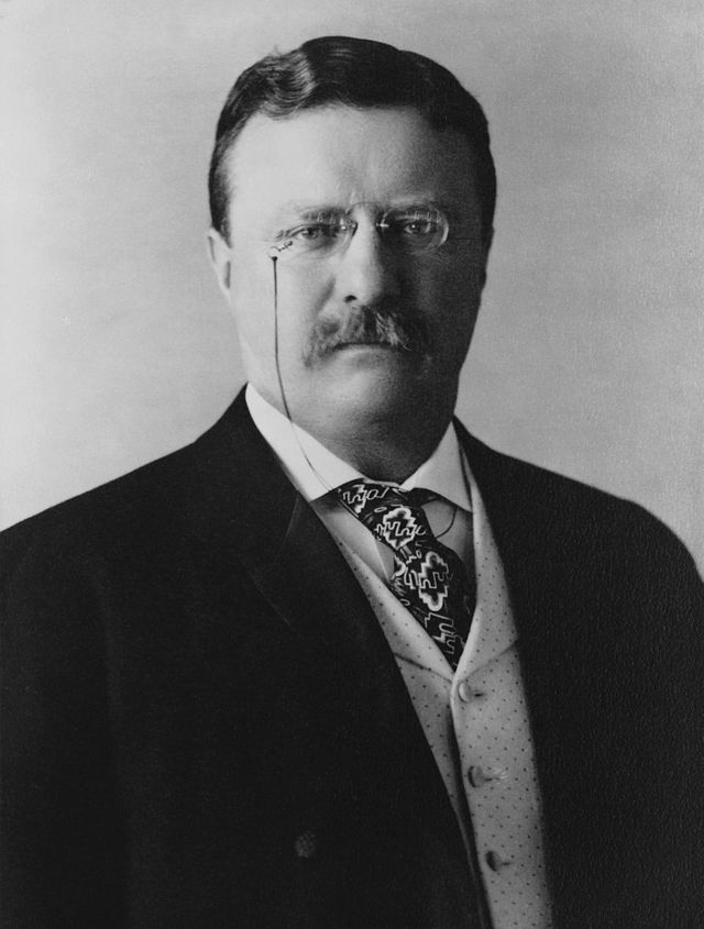 26th US president, Theodore Roosevelt